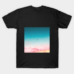 Bird and pastel sky T-Shirt